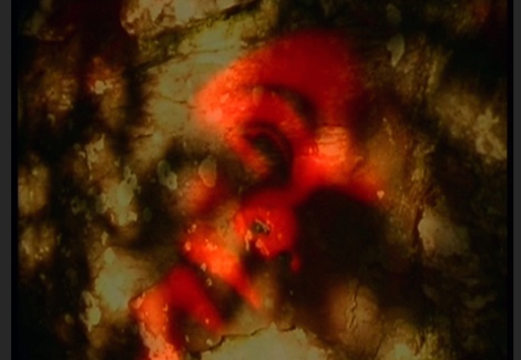 A Short Walk film still