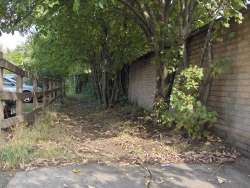 streetrat_locations015