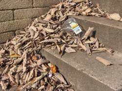 streetrat_locations017