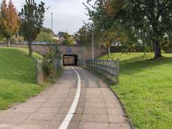 streetrat_locations011