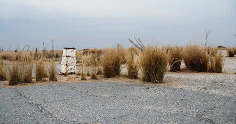 Overgrown abandoned runway in Nicosia airport